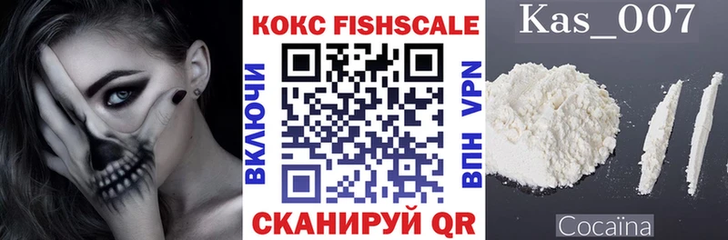 Купить наркотик Владимир Гашиш  Кокаин  Псилоцибиновые грибы  Меф 