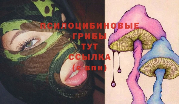 Альфа ПВП Бугульма