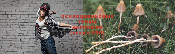 мет Бородино