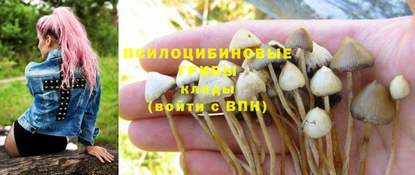 мет Бородино