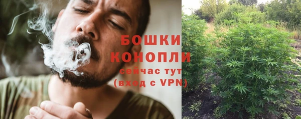 Альфа ПВП Бугульма