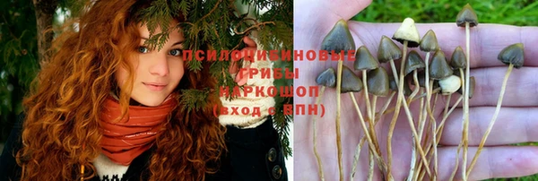 мет Бородино