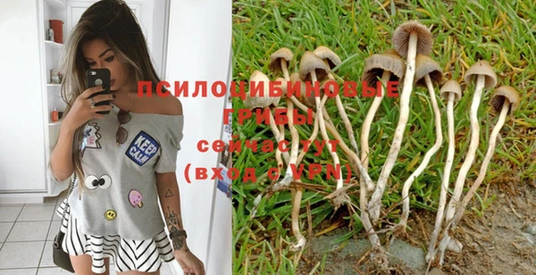 Альфа ПВП Бугульма